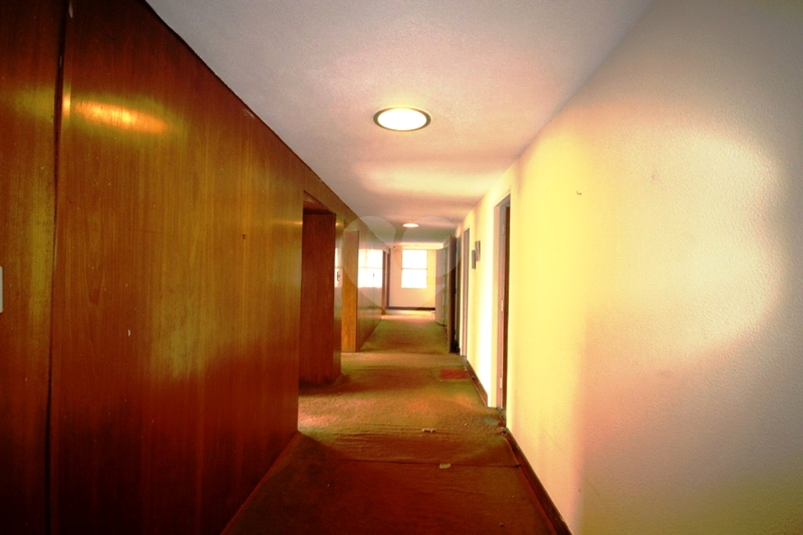 Foto REO351250