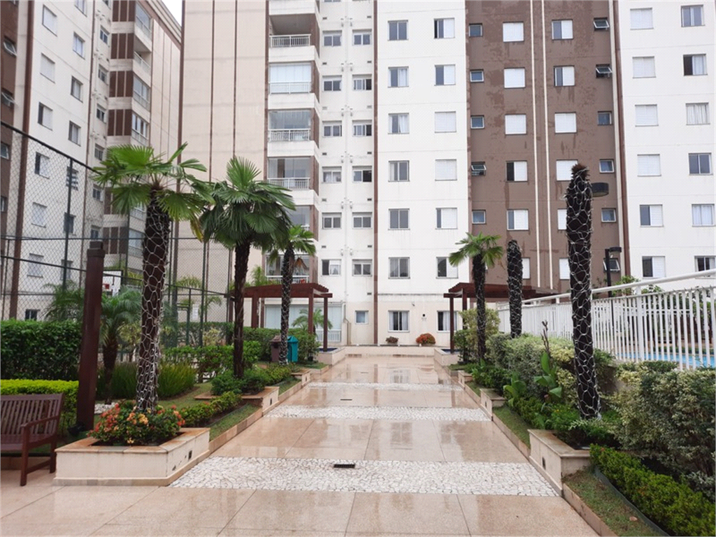 Venda Apartamento São Paulo Vila Caraguatá REO351261 91