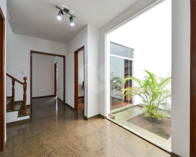 Foto REO351336