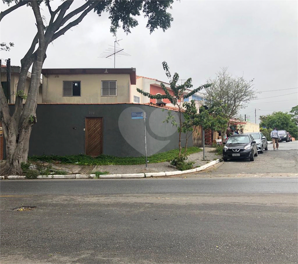 Foto REO351438