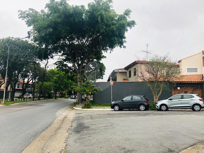 Foto REO351438