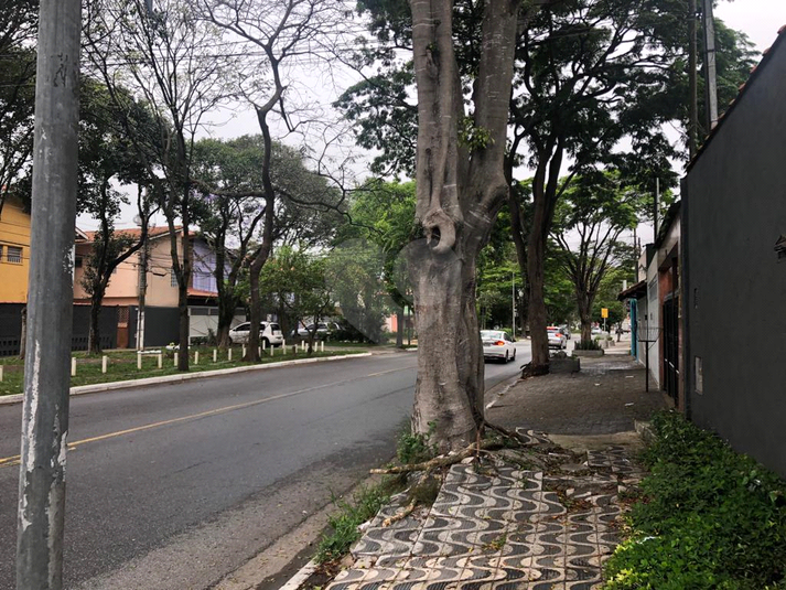 Foto REO351438