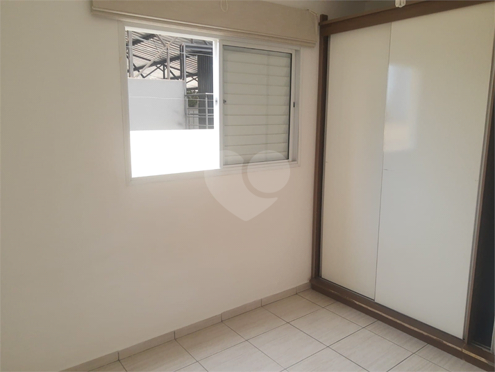 Foto REO351788