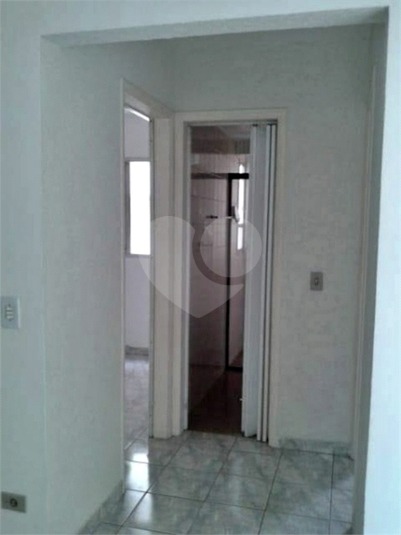 Foto REO351796