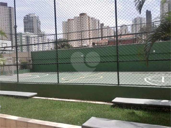 Foto REO351796