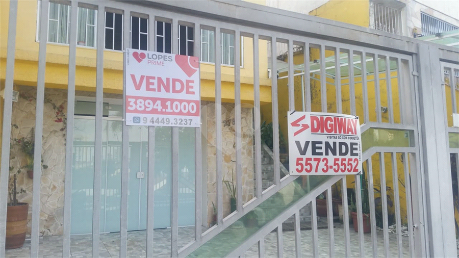 Foto REO351852