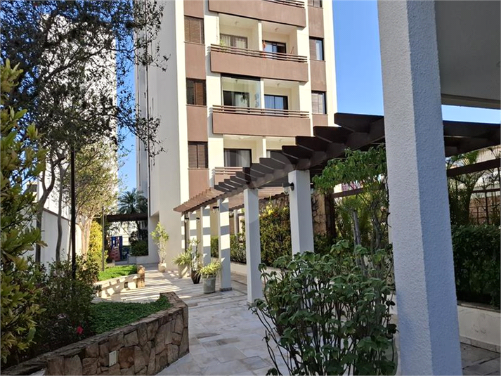 Foto REO351865