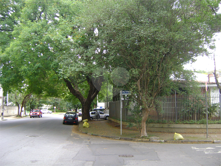 Foto REO352126