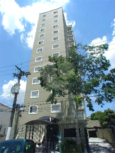 Foto REO352175