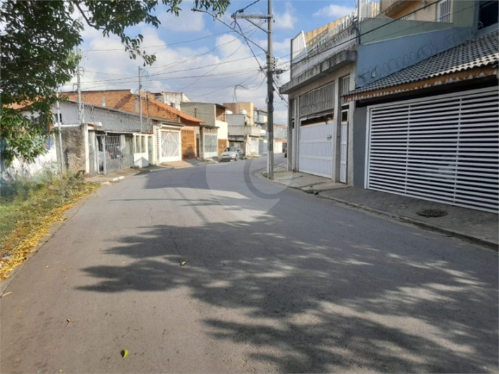 Foto REO352182