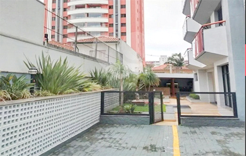 Foto REO352788
