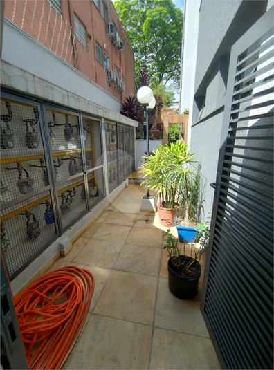 Foto REO352788