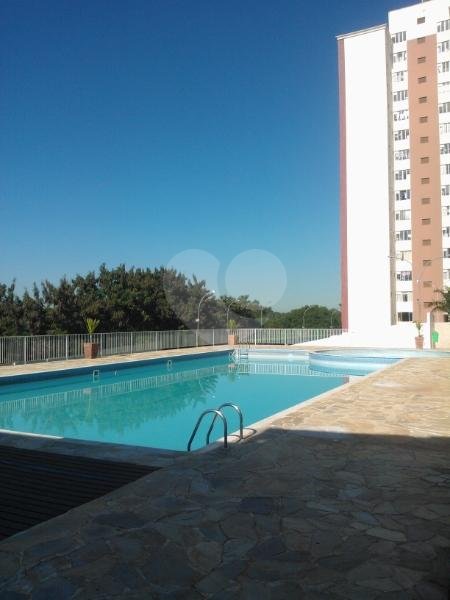 Venda Apartamento Campinas Jardim Antonio Von Zuben REO3532 6