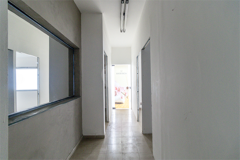 Foto REO353256