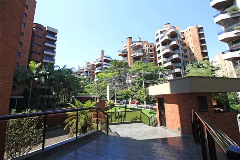 Foto REO353345