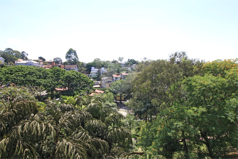 Foto REO353345