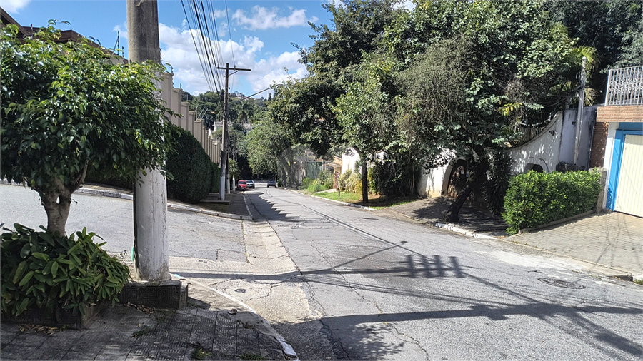 Foto REO353465
