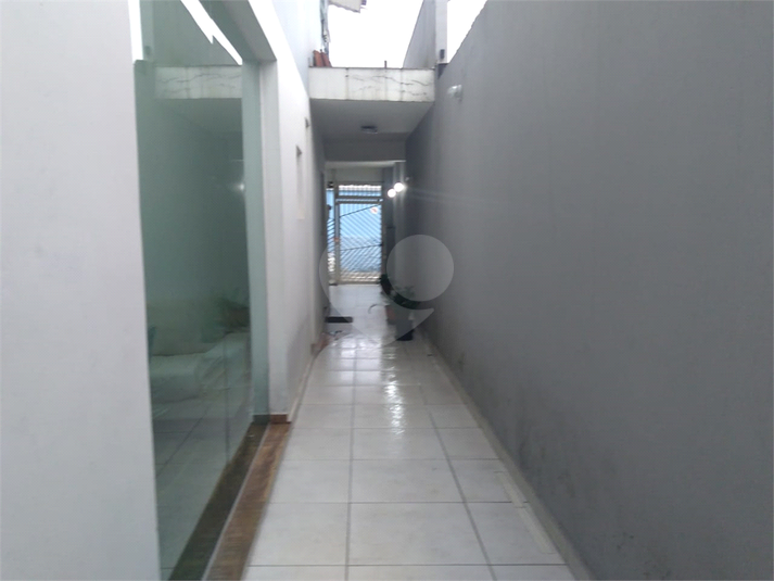 Foto REO353759