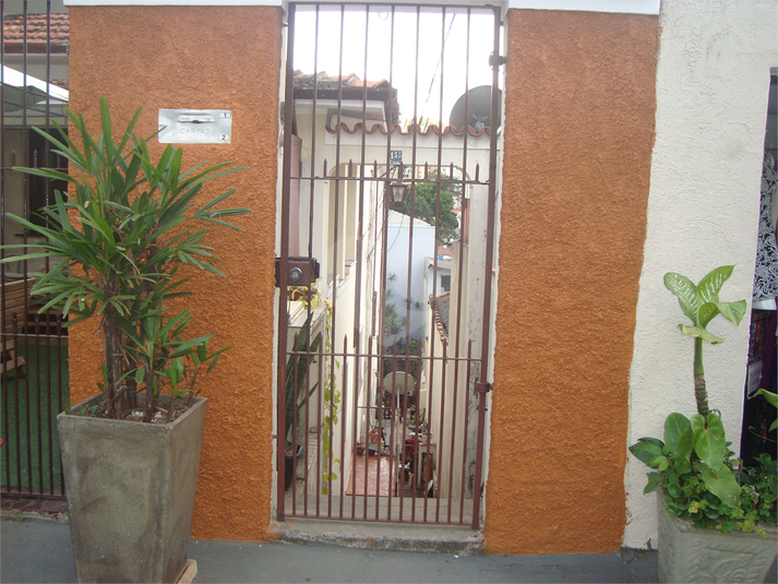 Foto REO353816