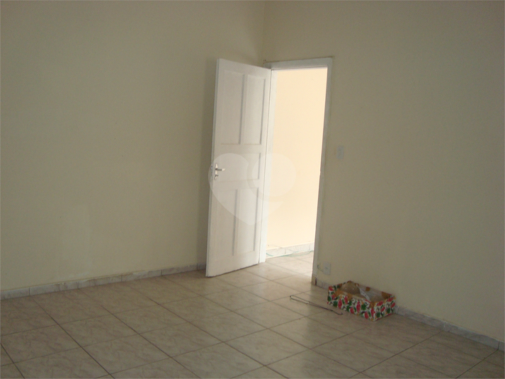 Foto REO353816