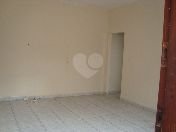 Foto REO353816
