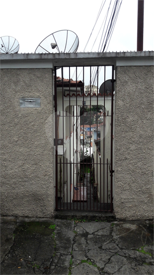 Foto REO353816