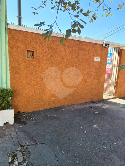 Foto REO353816