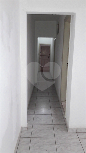Foto REO353816