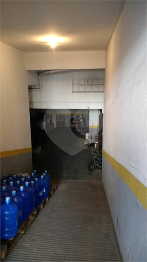 Foto REO353899