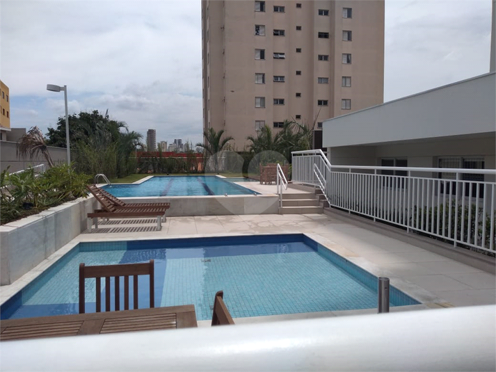 Foto REO353972