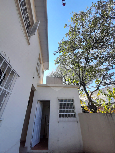 Foto REO354225