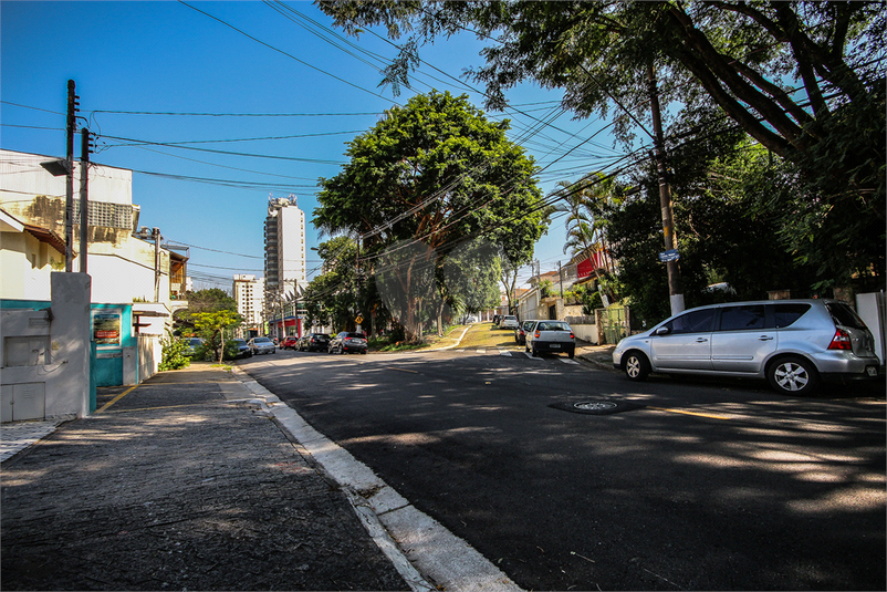 Foto REO354353