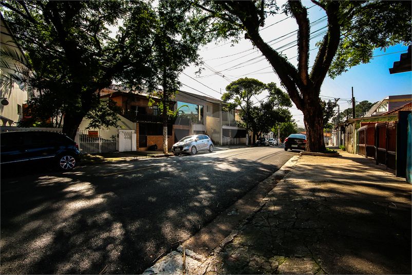 Foto REO354353