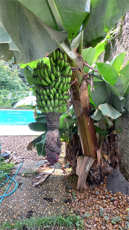 Venda Casa São Paulo Jardim Guedala REO35453 66