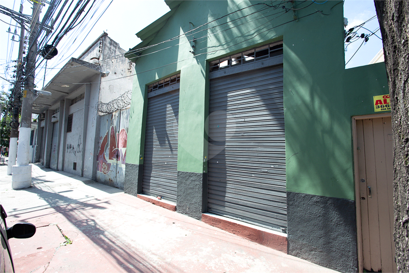 Foto REO354531