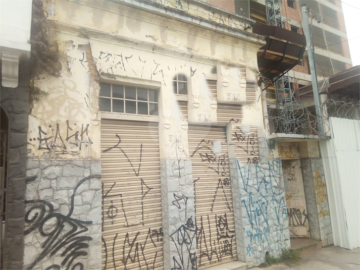Foto REO354550