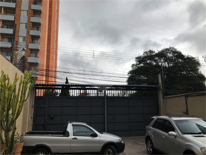 Foto REO355008