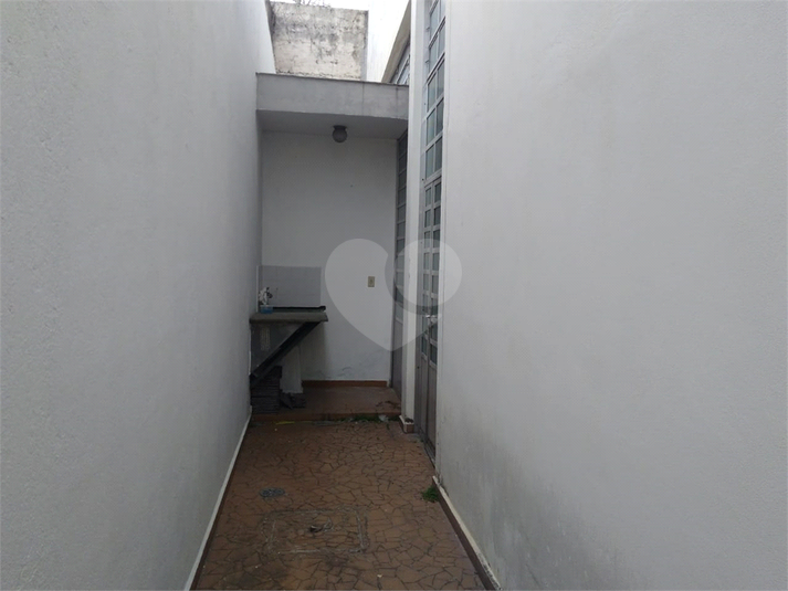 Foto REO355143