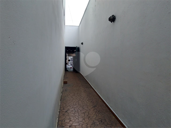 Foto REO355143