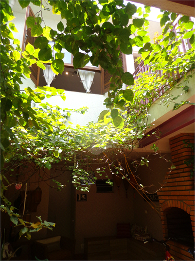 Foto REO355700