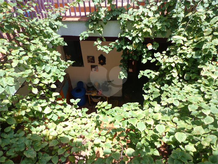 Foto REO355700