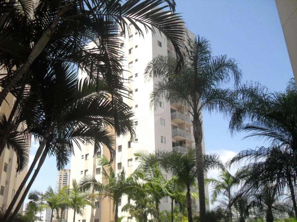 Venda Apartamento São Paulo Jardim Aeroporto REO357024 1