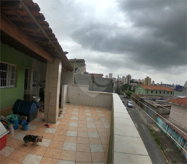Foto REO357151