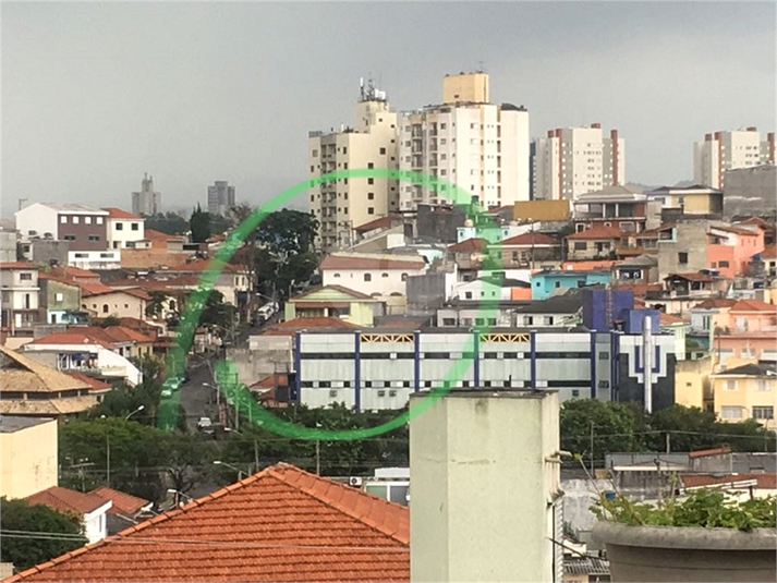 Foto REO357151