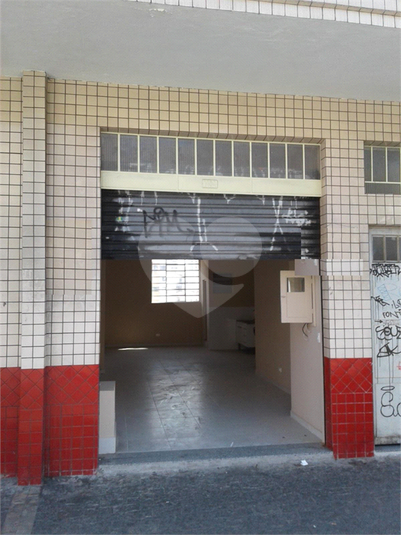 Foto REO357275