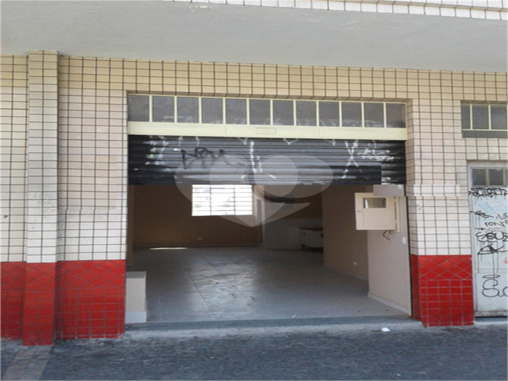 Foto REO357275