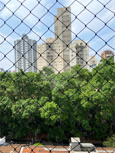 Foto REO357919