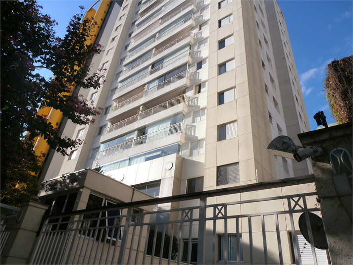 Foto REO357919