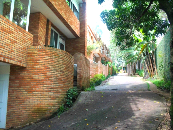 Foto REO358052