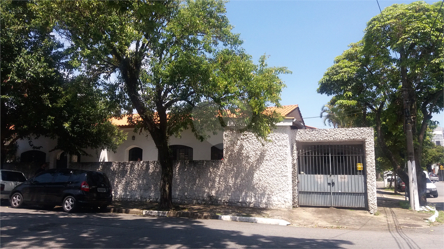 Foto REO358229
